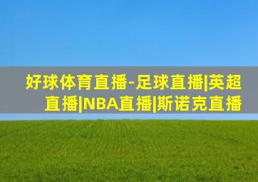 好球体育直播-足球直播|英超直播|NBA直播|斯诺克直播